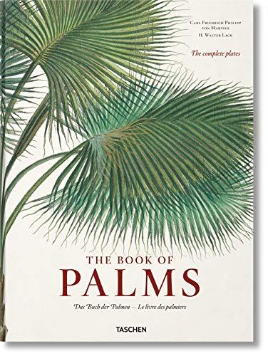 von Martius. The Book of Palms                                                                                                                        <br><span class="capt-avtor"> By:Lack, H. Walter                                   </span><br><span class="capt-pari"> Eur:56,89 Мкд:3499</span>